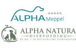 Alpha Meppel