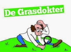 Steenbergen Graszoden